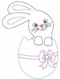 Easter Bunny in Easter Egg vintage stitch machine embroidery design